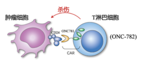 ONC-782